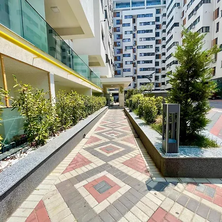 Adress Dd14 Βουκουρέστι